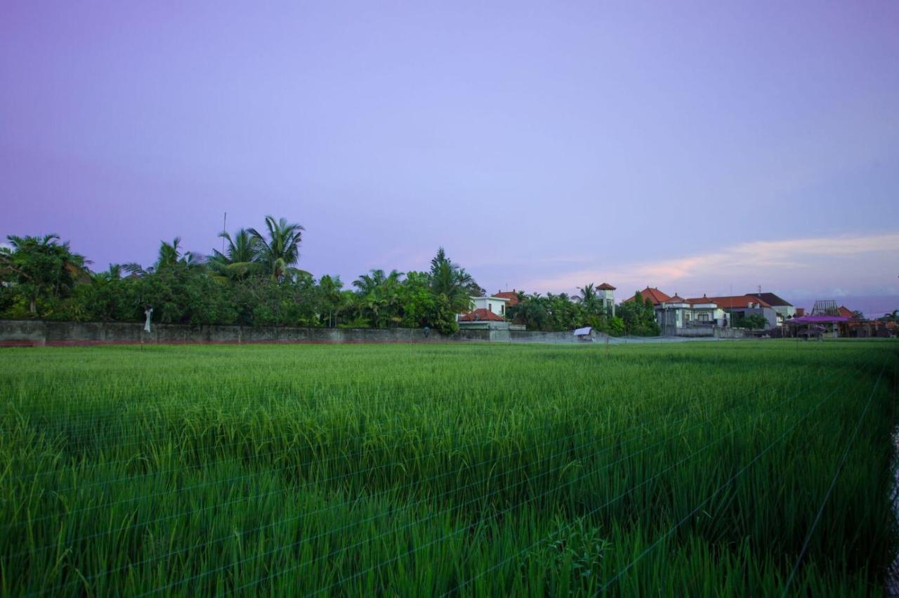 The Awandari Villas Seminyak - CHSE Certified Bagian luar foto